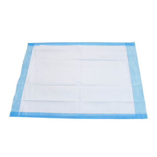 Dukal Basic Care Underpad 17 x 24 in medical supply