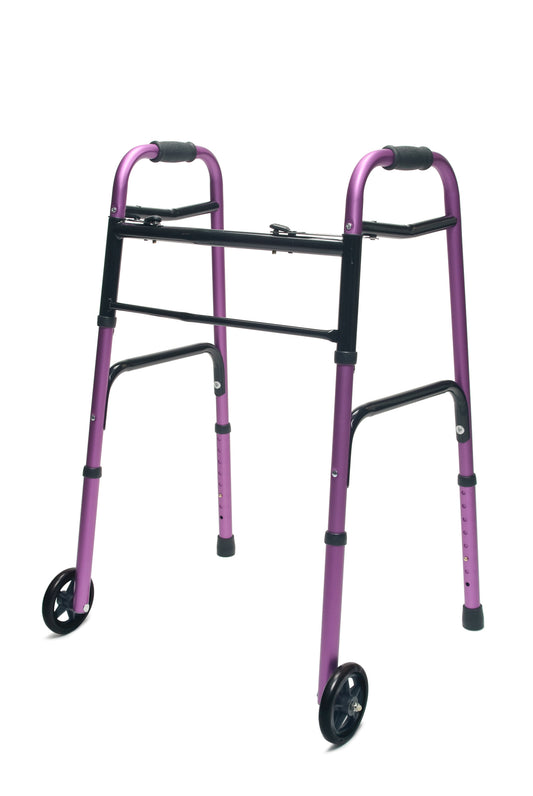 Graham Field Evrydy Wlkr W/whls Dual Rl Plu Adult, 1 Ea, Lumex medical supply